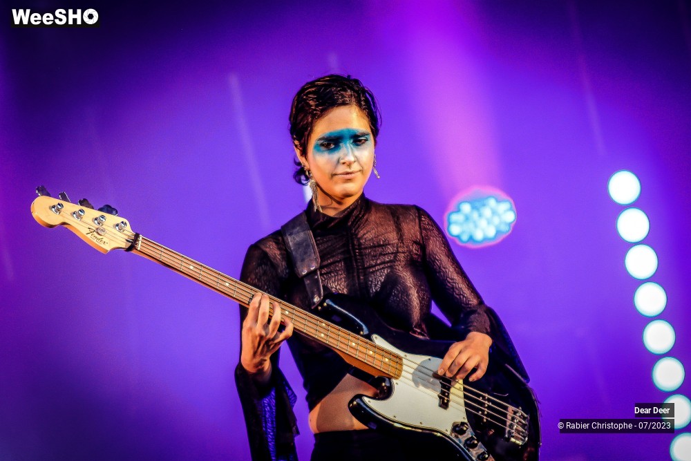 19/19 photos du spectacle Dear deer