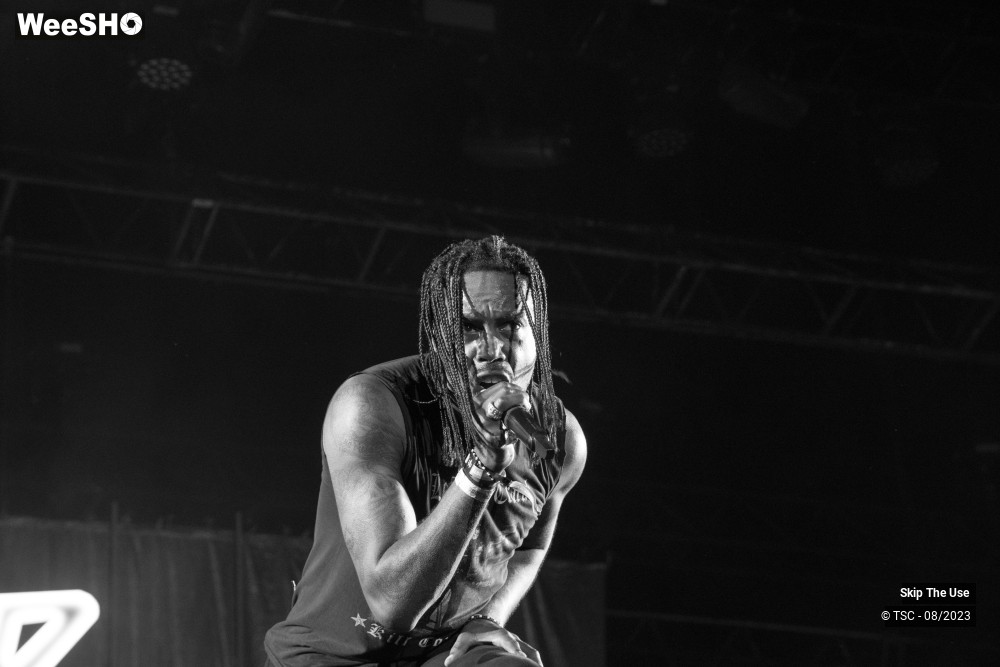 2/36 photos du spectacle Skip the use