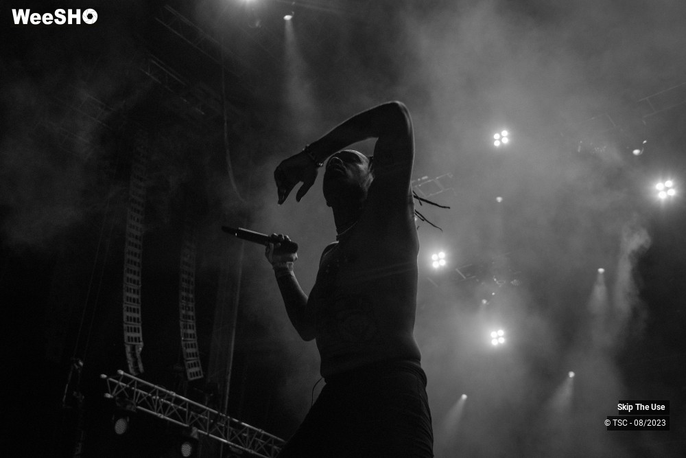7/36 photos du spectacle Skip the use