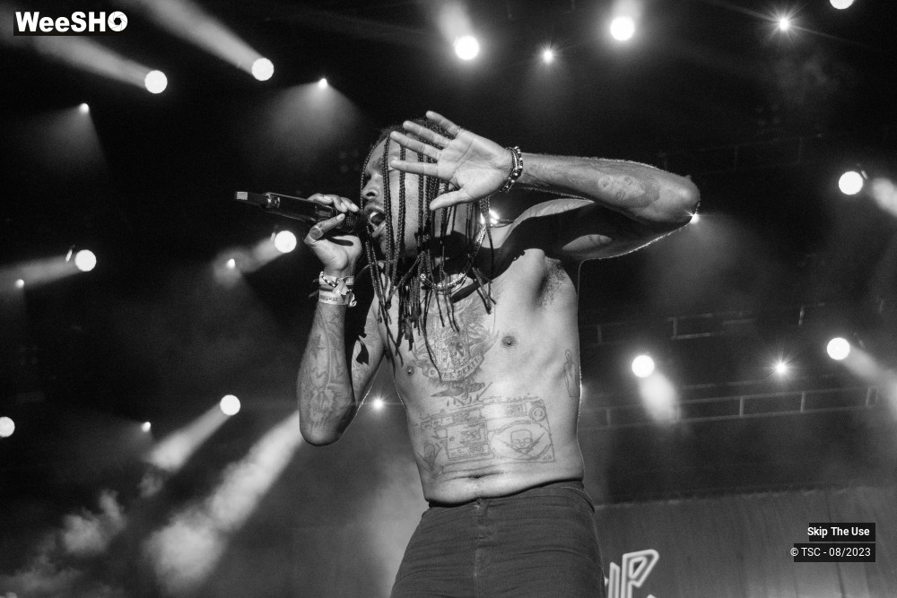 8/36 photos du spectacle Skip the use