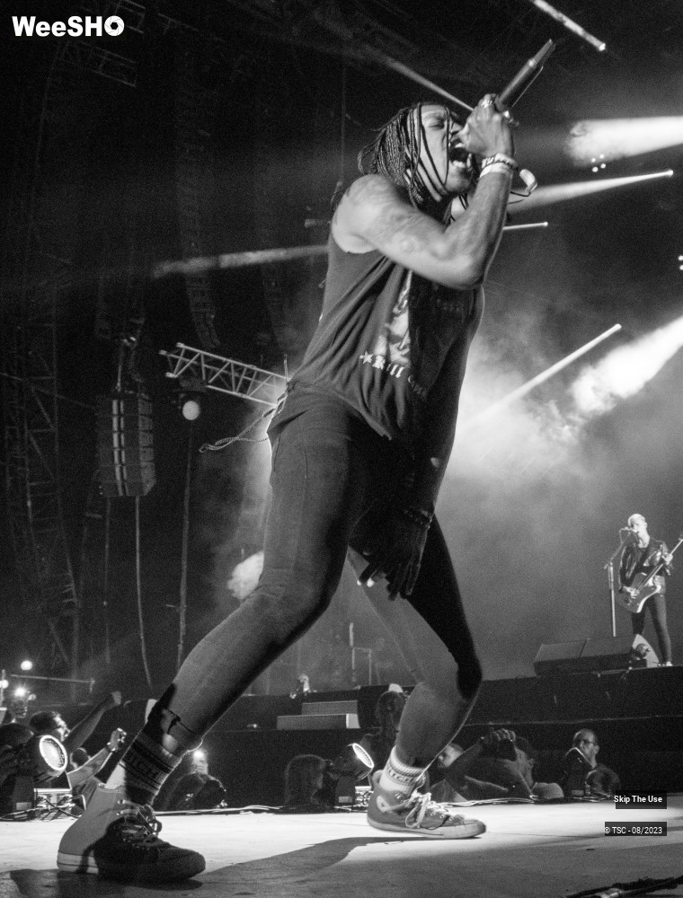 17/36 photos du spectacle Skip the use