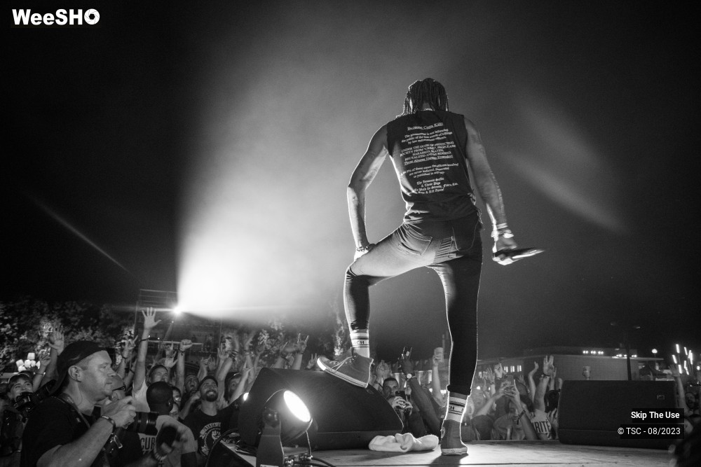 18/36 photos du spectacle Skip the use