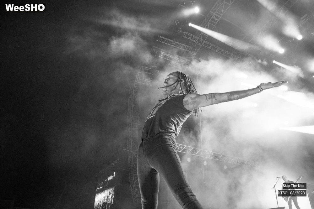 20/36 photos du spectacle Skip the use