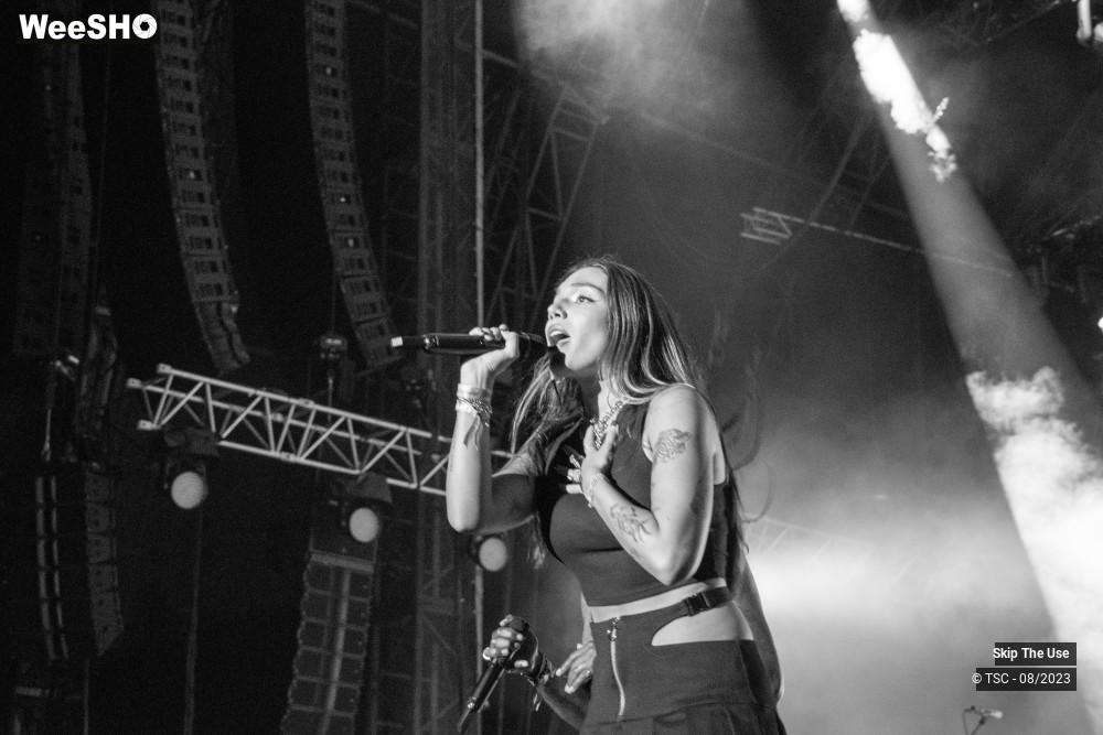 21/36 photos du spectacle Skip the use