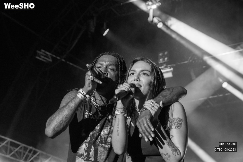 22/36 photos du spectacle Skip the use