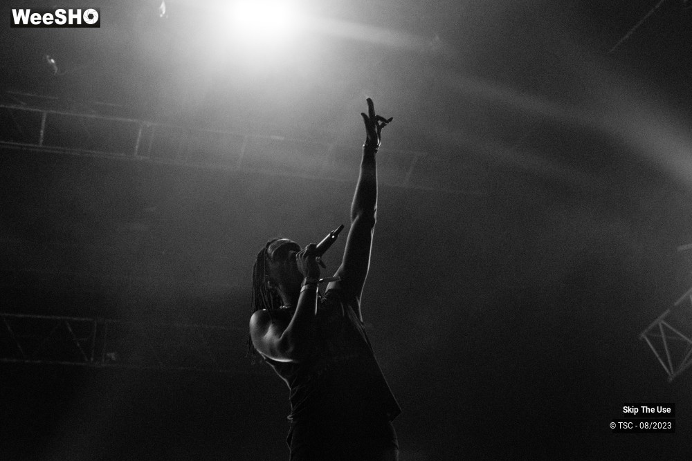 27/36 photos du spectacle Skip the use