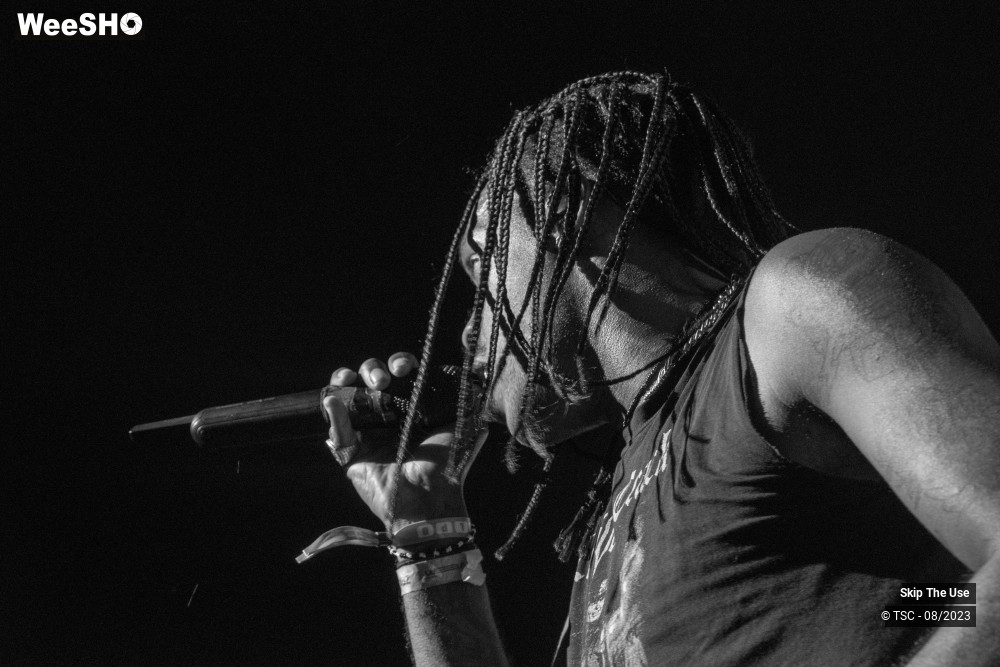 28/36 photos du spectacle Skip the use