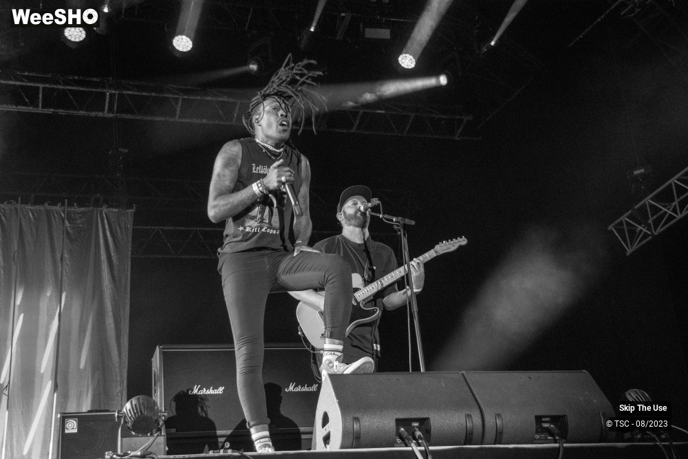 29/36 photos du spectacle Skip the use