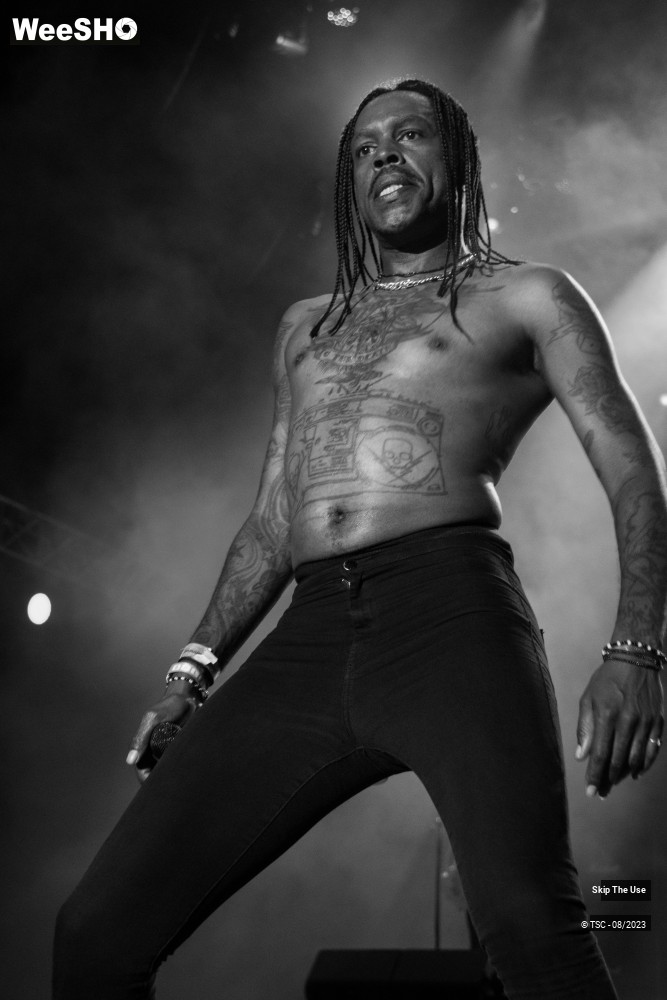 31/36 photos du spectacle Skip the use