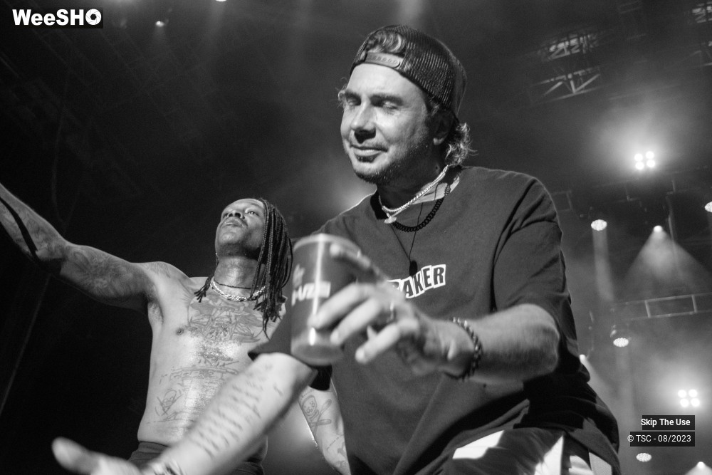 36/36 photos du spectacle Skip the use