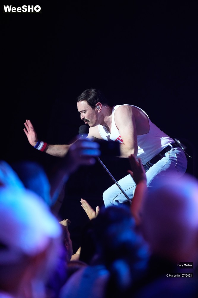14/18 photos du spectacle One Night Of Queen