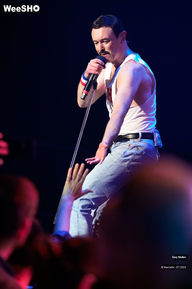 16/18 photos du spectacle One Night Of Queen