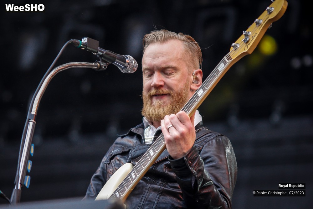 20/38 photos du spectacle Royal republic