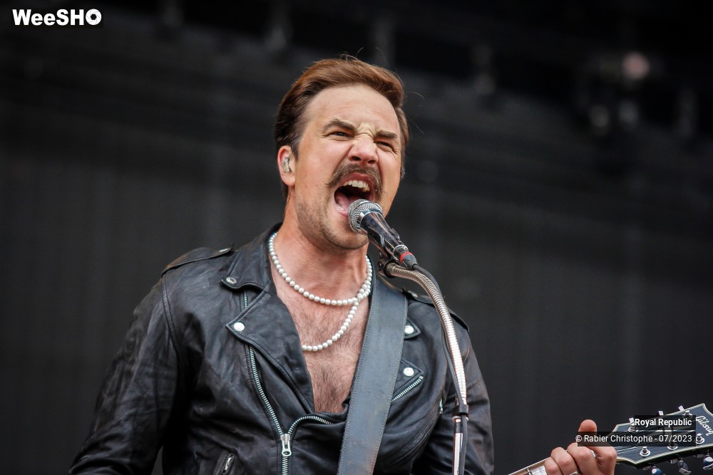 33/38 photos du spectacle Royal republic