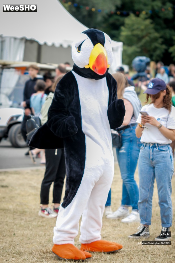 1/43 photos du spectacle Ambiance au MSF 2023