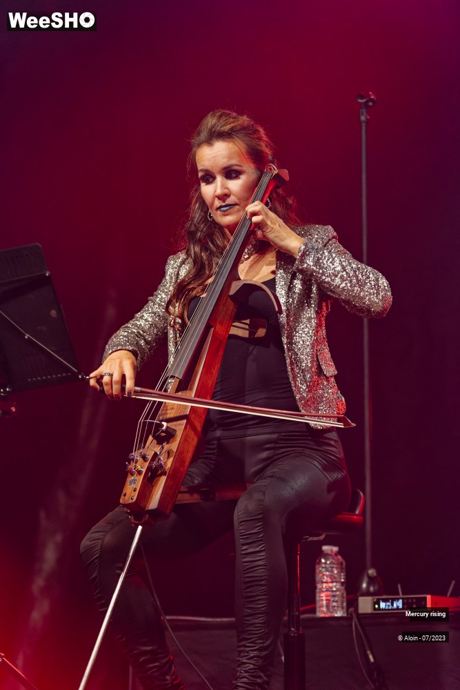 30/46 photos du spectacle Mercury rising