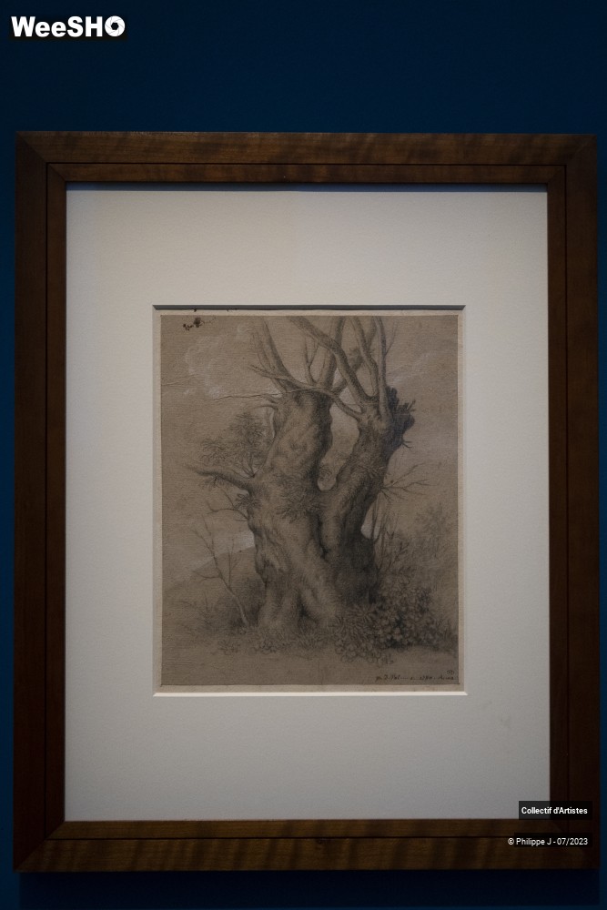 2/17 photos du spectacle Visite de l'exposition "Paysage. Fenêtre sur la nature"