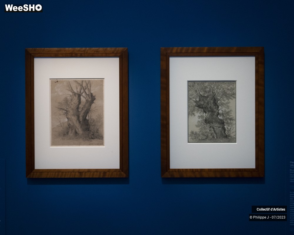 3/17 photos du spectacle Visite de l'exposition "Paysage. Fenêtre sur la nature"