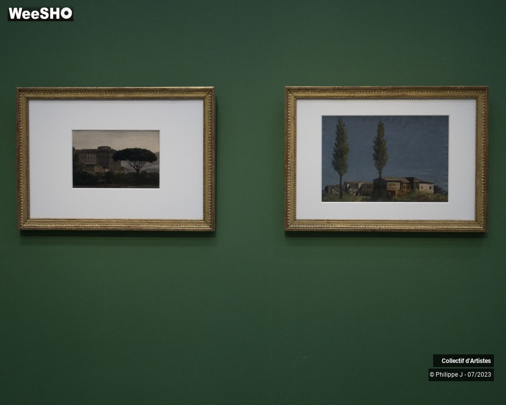 8/17 photos du spectacle Visite de l'exposition "Paysage. Fenêtre sur la nature"