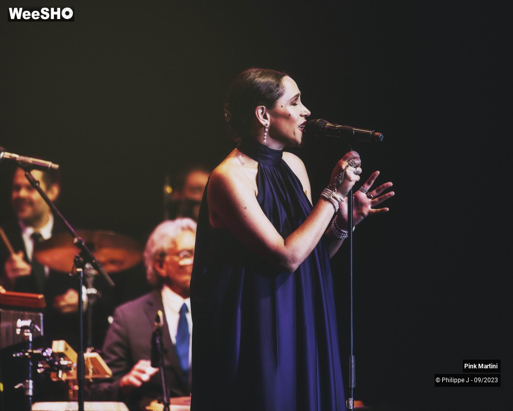 2/21 photos du spectacle Pink Martini