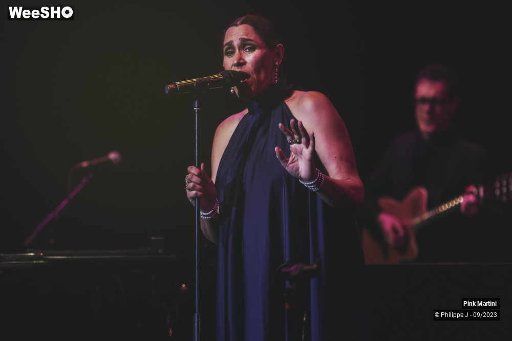 11/21 photos du spectacle Pink Martini