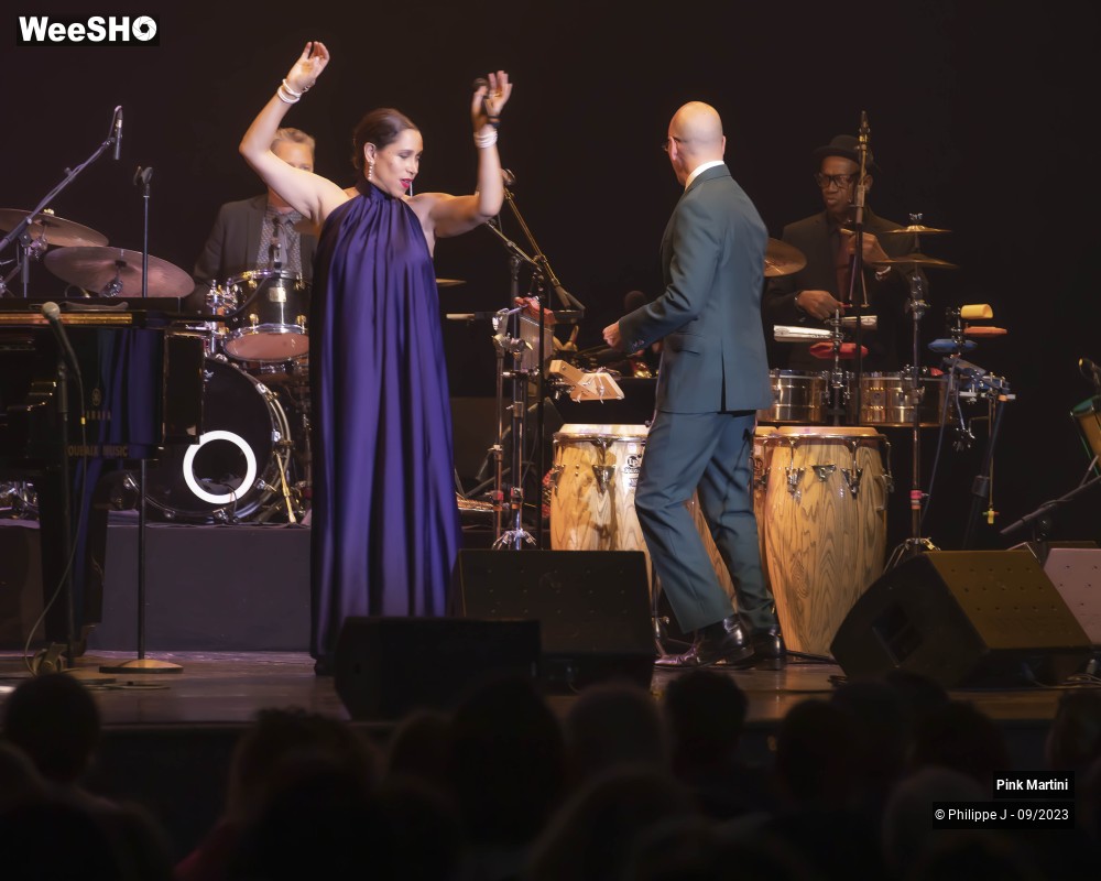 17/21 photos du spectacle Pink Martini
