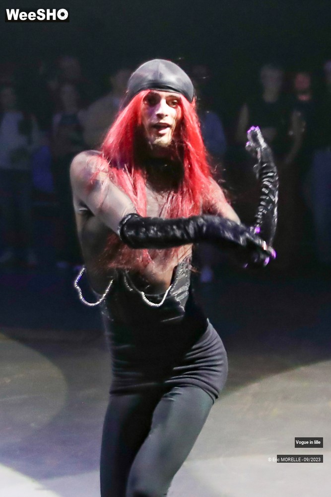 59/63 photos du spectacle Vogue in lille