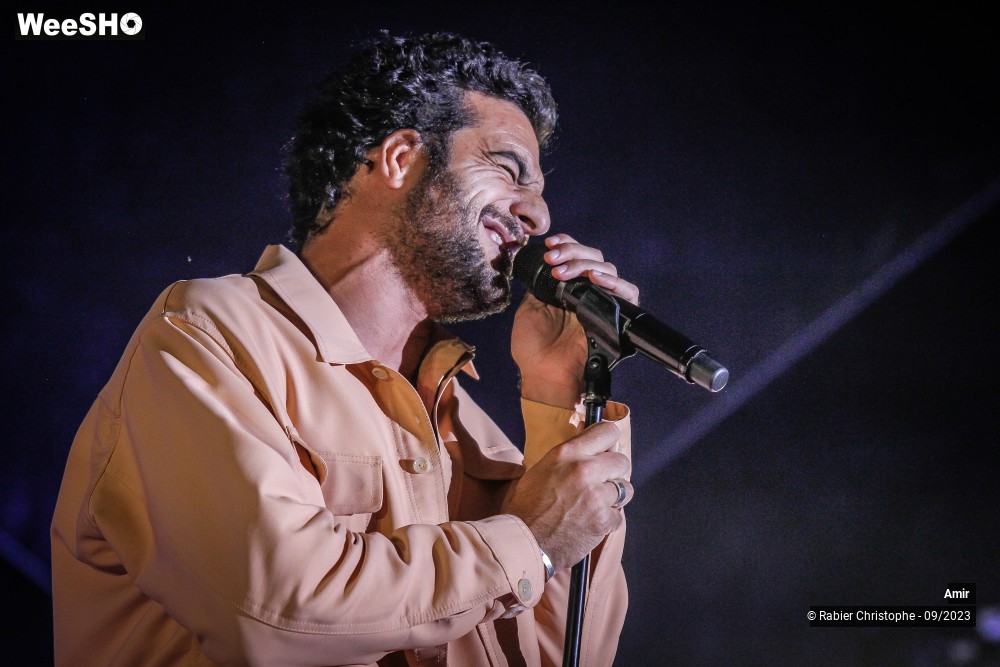 29/43 photos du spectacle Amir