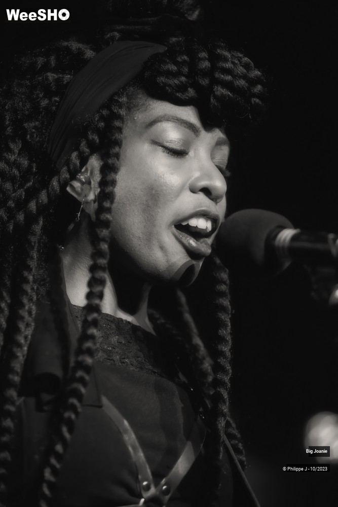 16/20 photos du spectacle Big Joanie