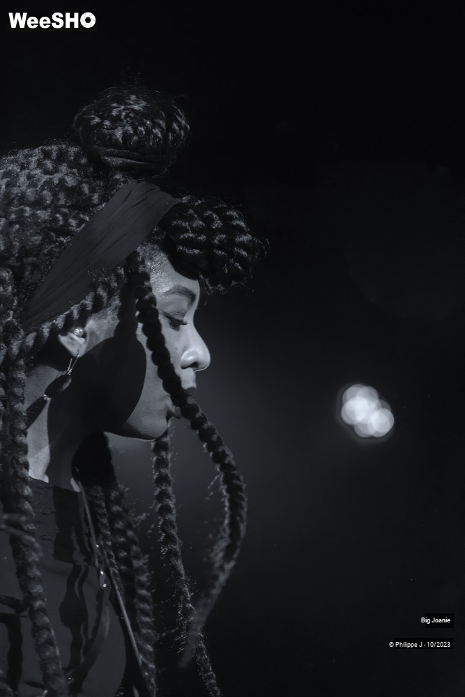 17/20 photos du spectacle Big Joanie
