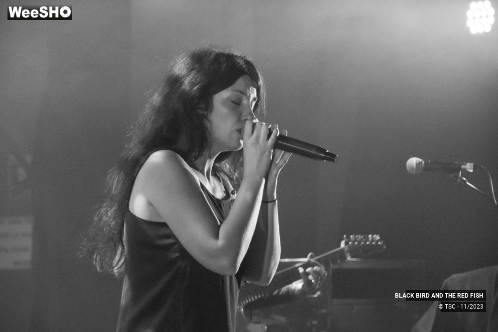 1/9 photos du spectacle BLACK BIRD AND THE RED FISH