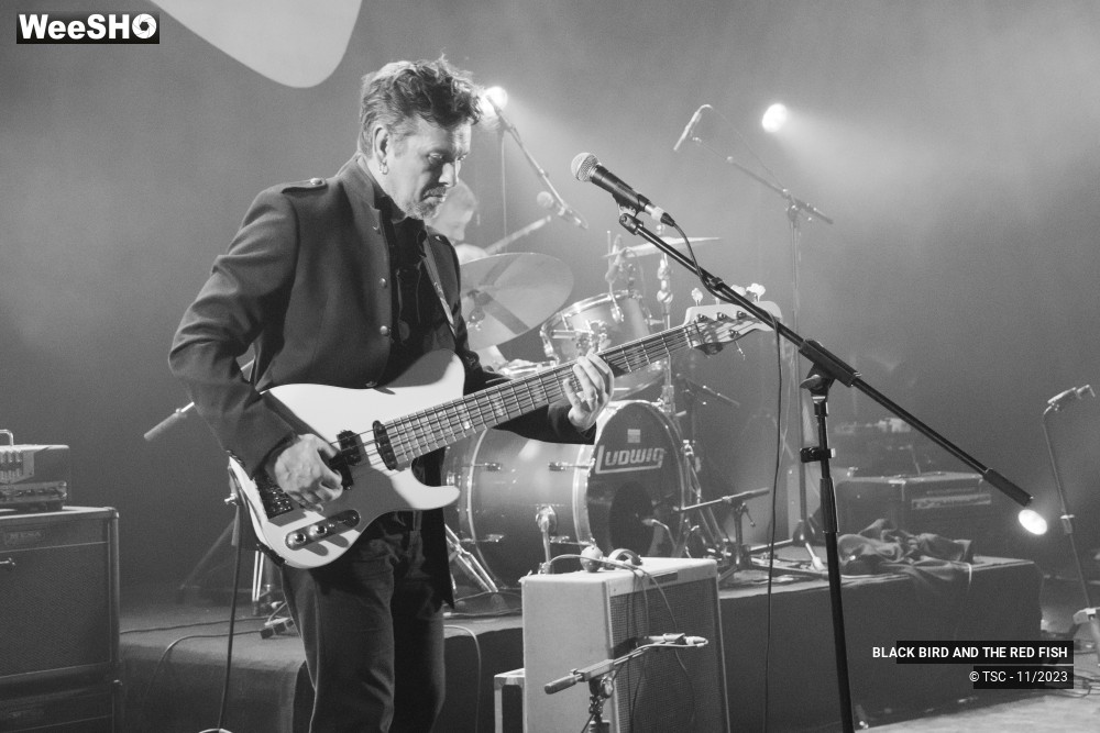2/9 photos du spectacle BLACK BIRD AND THE RED FISH