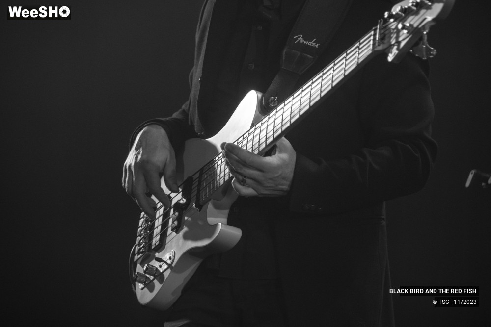 4/9 photos du spectacle BLACK BIRD AND THE RED FISH