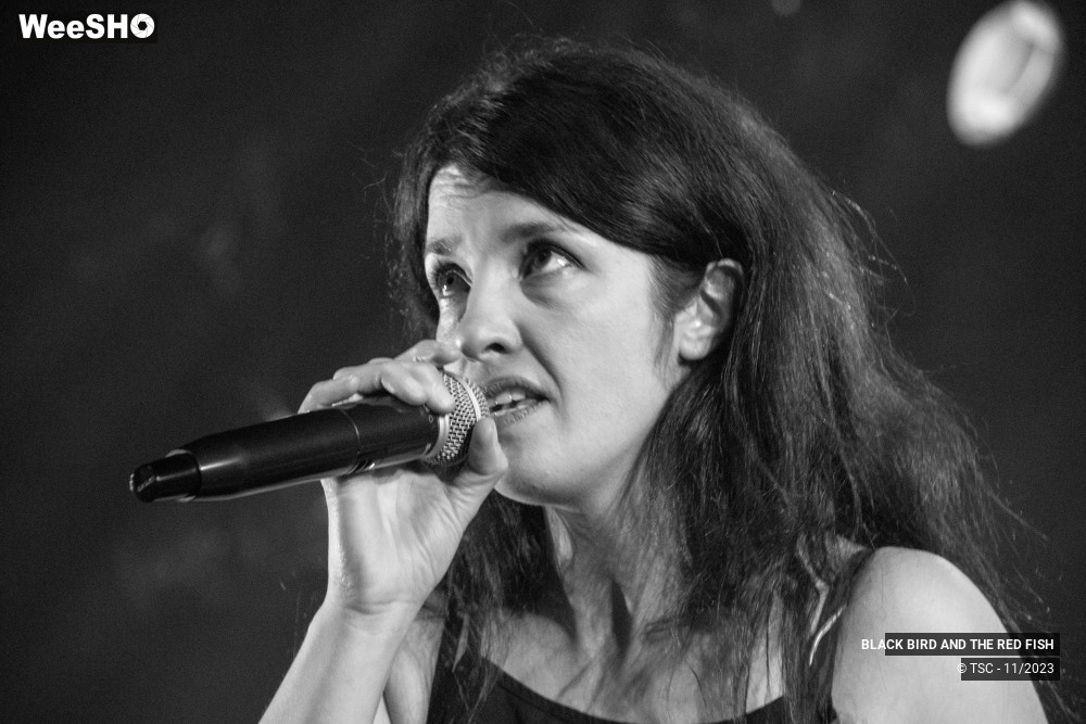 6/9 photos du spectacle BLACK BIRD AND THE RED FISH