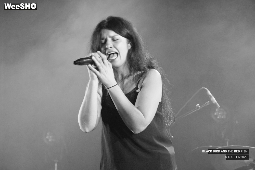 7/9 photos du spectacle BLACK BIRD AND THE RED FISH