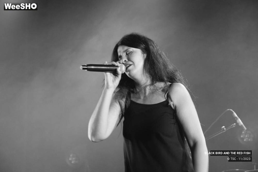 8/9 photos du spectacle BLACK BIRD AND THE RED FISH