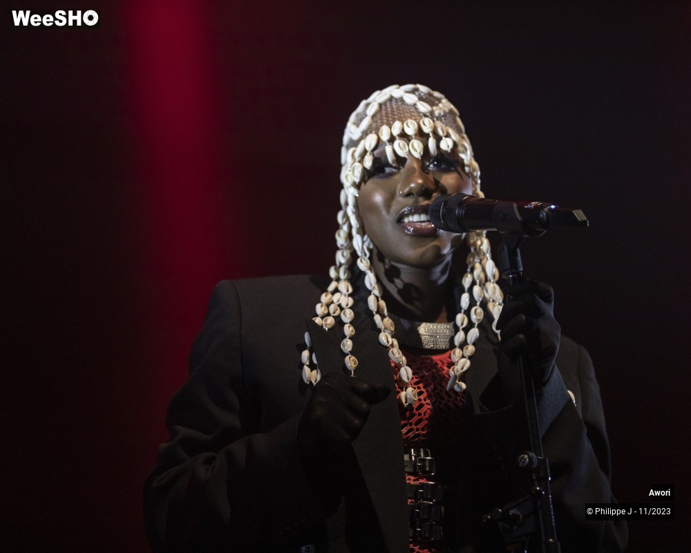 1/11 photos du spectacle Awori