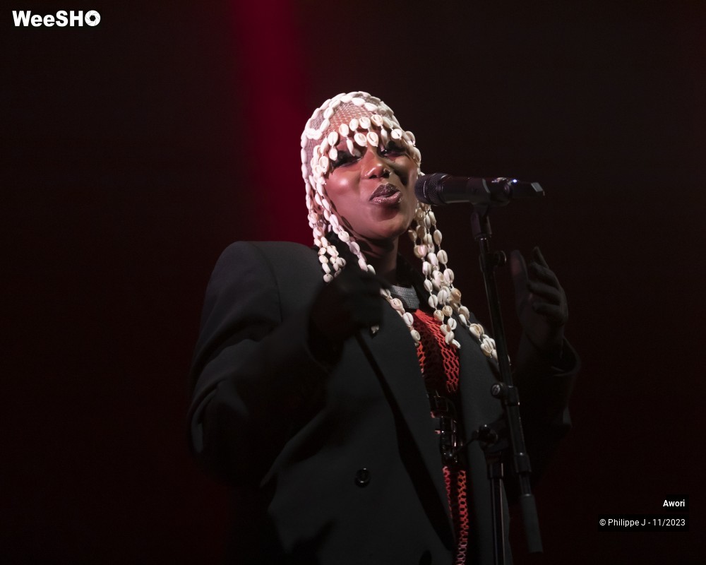 2/11 photos du spectacle Awori