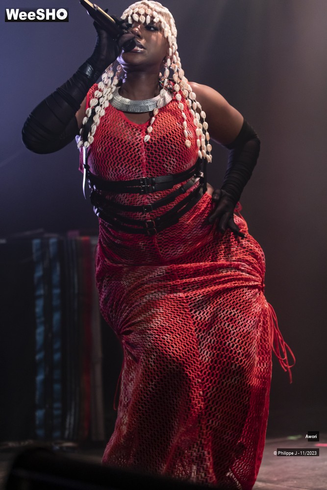 11/11 photos du spectacle Awori
