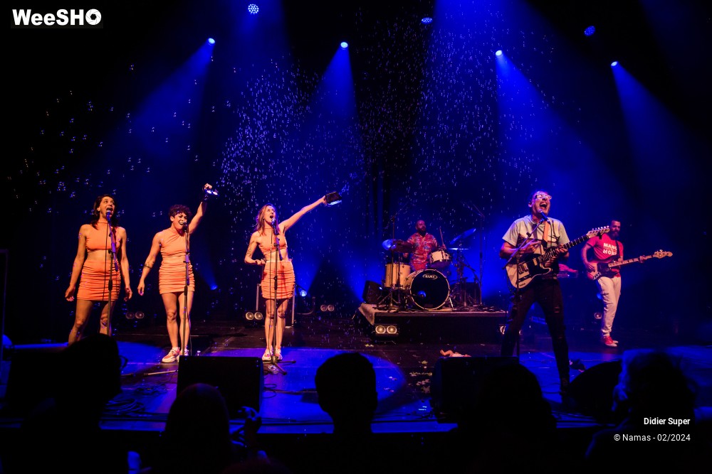 28/44 photos du spectacle Didier Super et son Groupe Discount