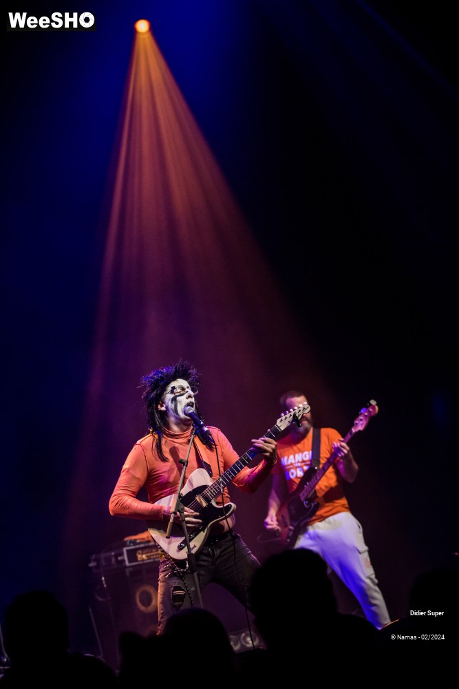31/44 photos du spectacle Didier Super et son Groupe Discount