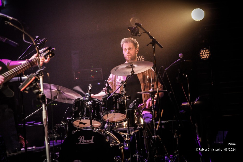 17/26 photos du spectacle Zebre