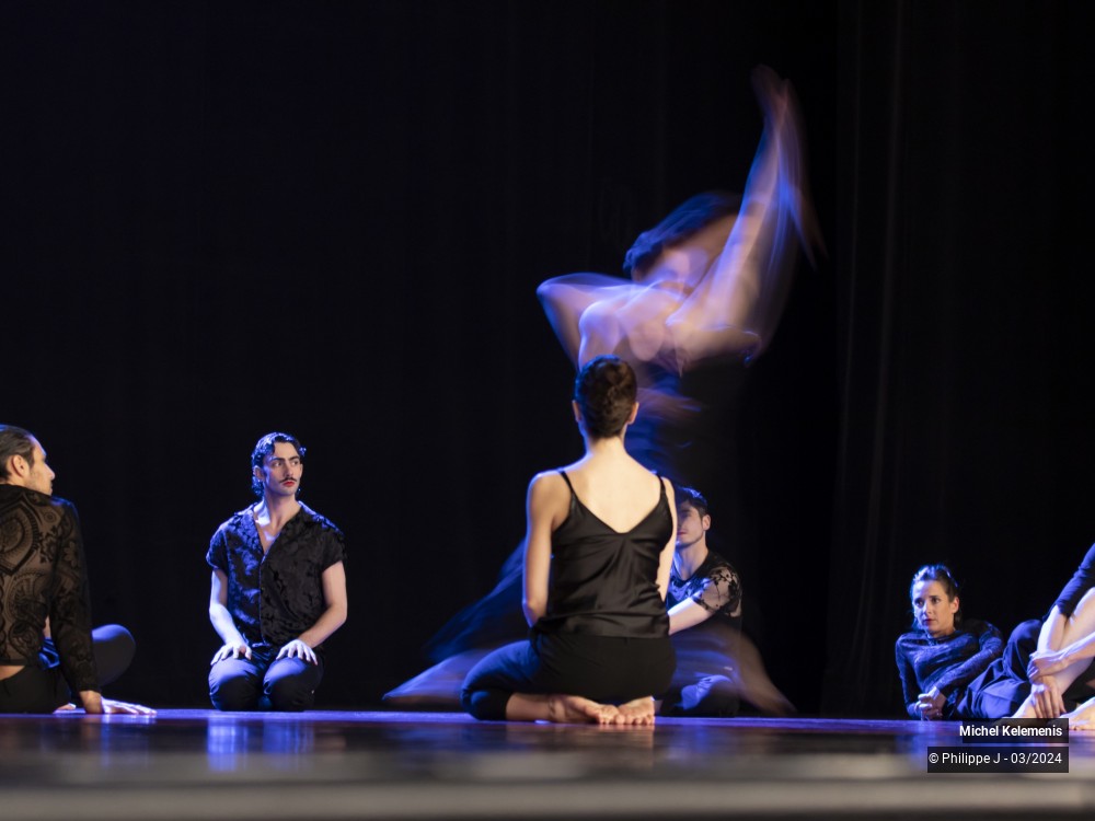 4/15 photos du spectacle Magnifiques - Une éphémère éternité
