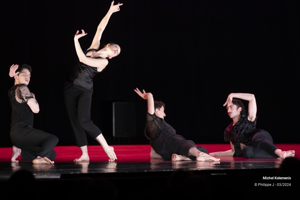 8/15 photos du spectacle Magnifiques - Une éphémère éternité