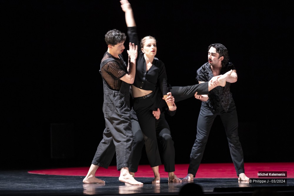 11/15 photos du spectacle Magnifiques - Une éphémère éternité