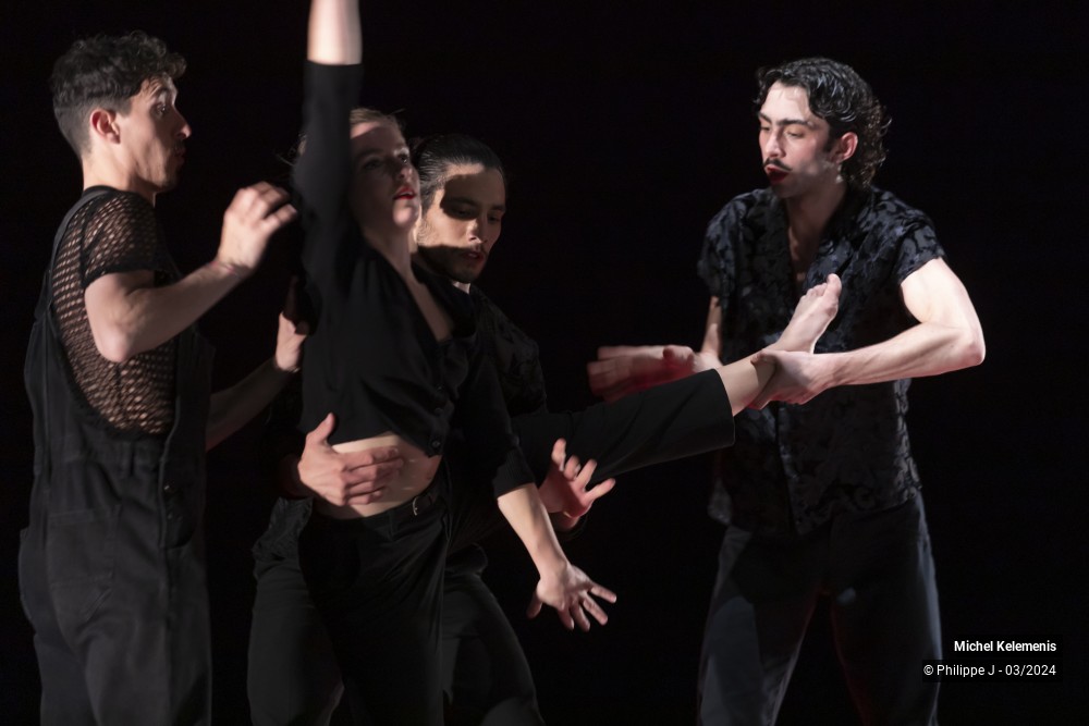 13/15 photos du spectacle Magnifiques - Une éphémère éternité