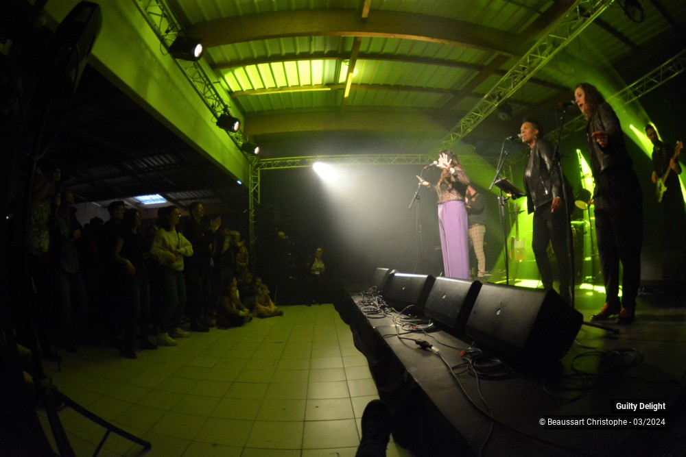 33/38 photos du spectacle Guilty Delight