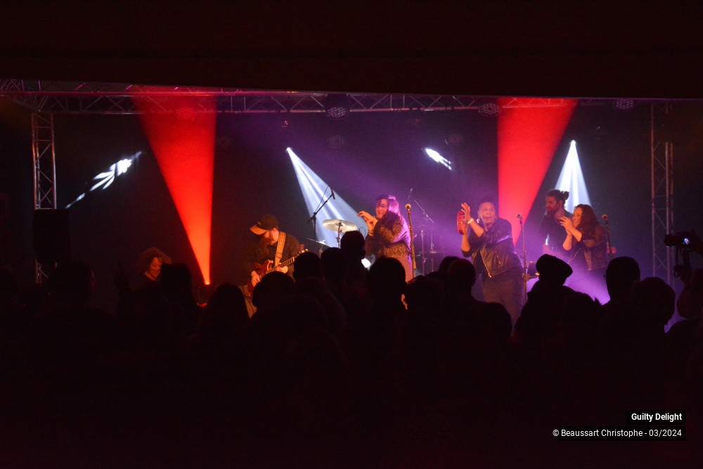 36/38 photos du spectacle Guilty Delight