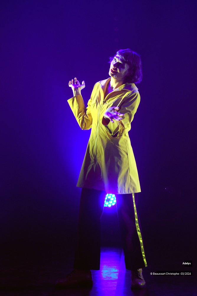 5/33 photos du spectacle Adélys