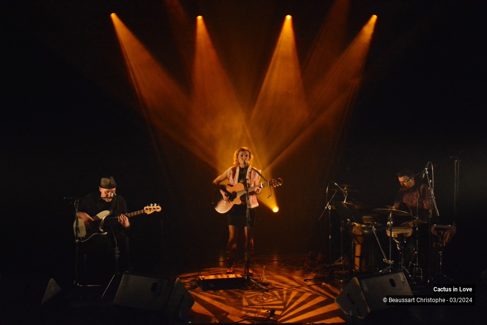 22/27 photos du spectacle Cactus in Love